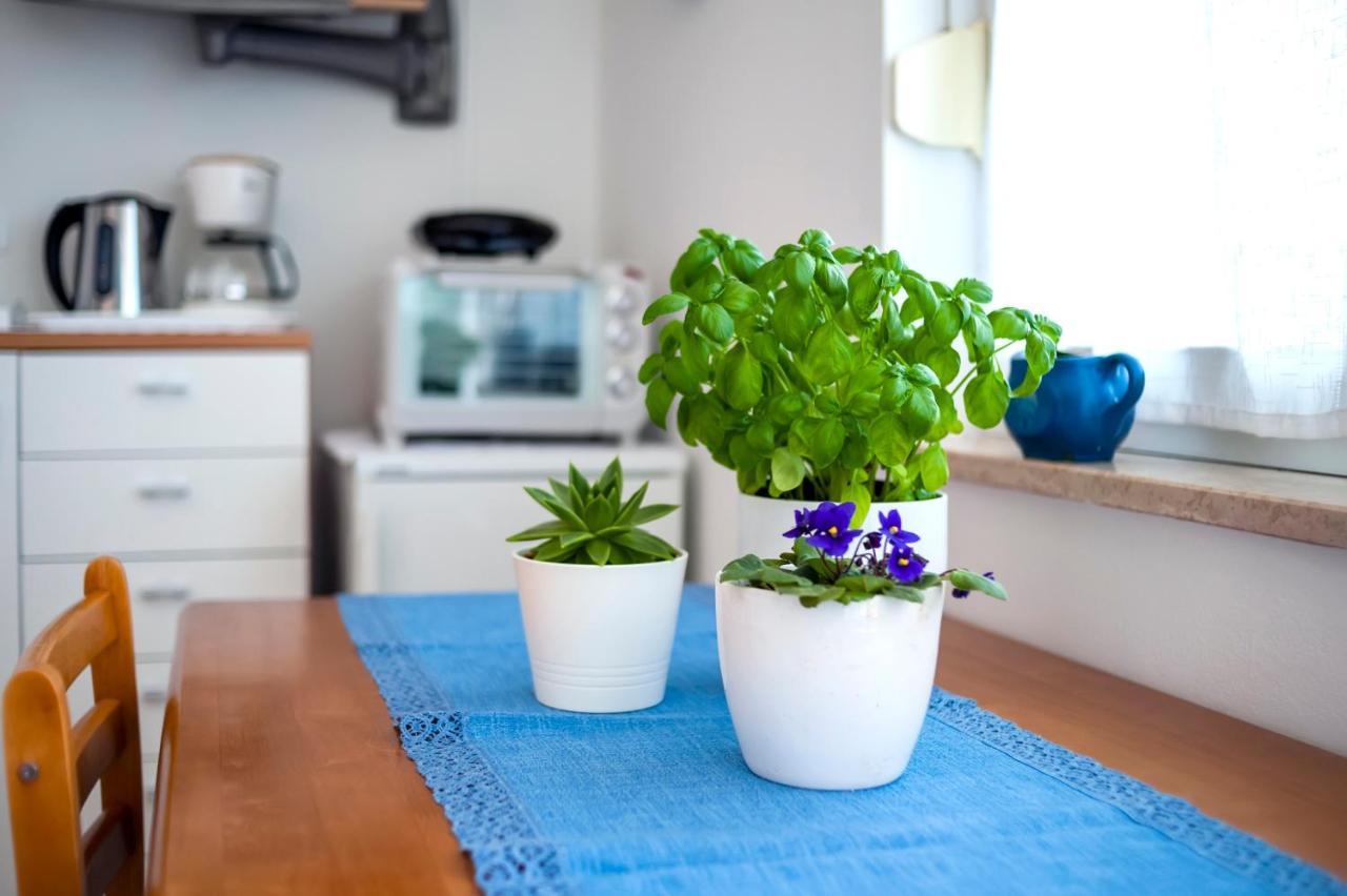 Apartment Casa Banko 罗维尼 外观 照片